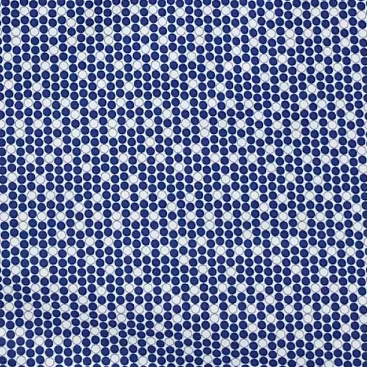 State and Liberty "The Beckham" Geo Royal Blue & White Double Circle Flash Sale